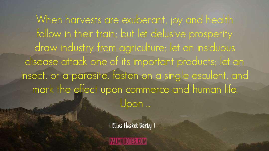 Elias Hasket Derby Quotes: When harvests are exuberant, joy