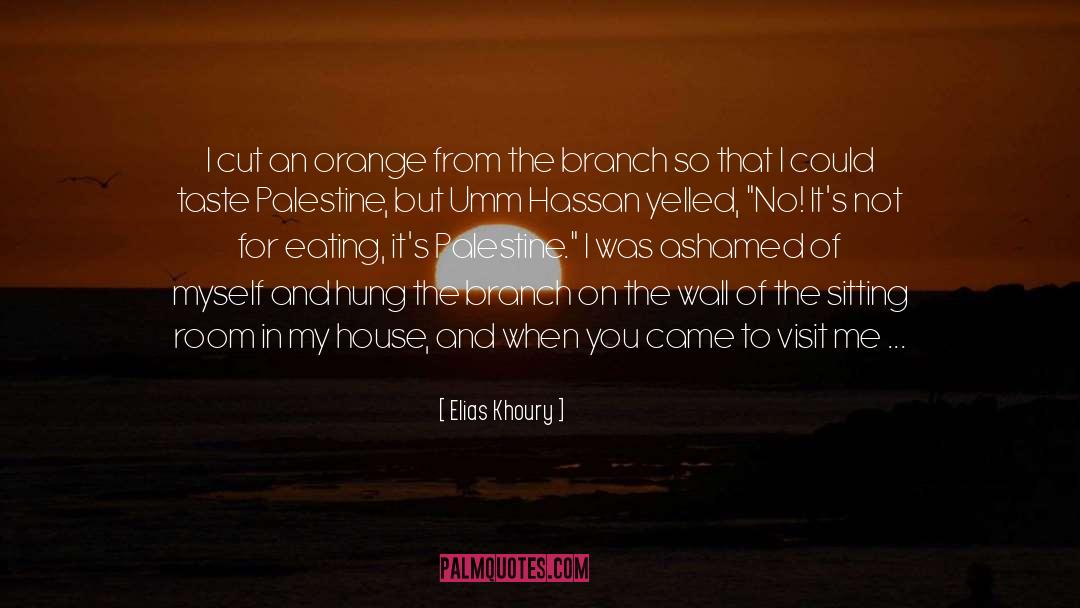 Elias Khoury Quotes: I cut an orange from