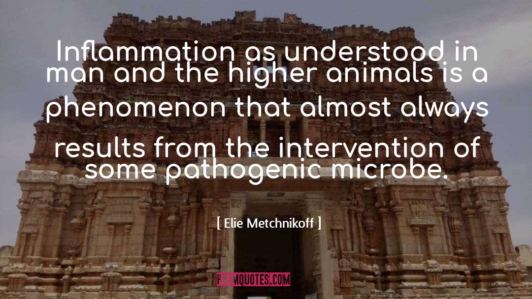 Elie Metchnikoff Quotes: Inflammation as understood in man