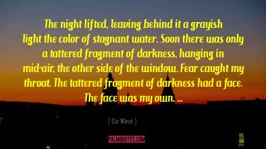 Elie Wiesel Quotes: The night lifted, leaving behind