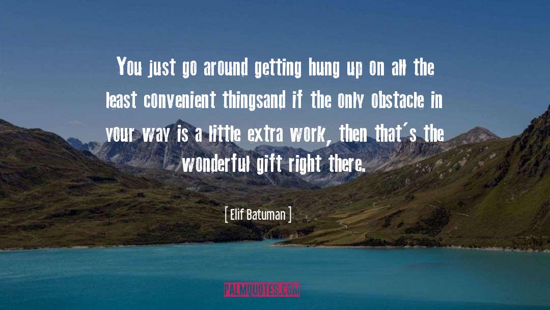 Elif Batuman Quotes: You just go around getting