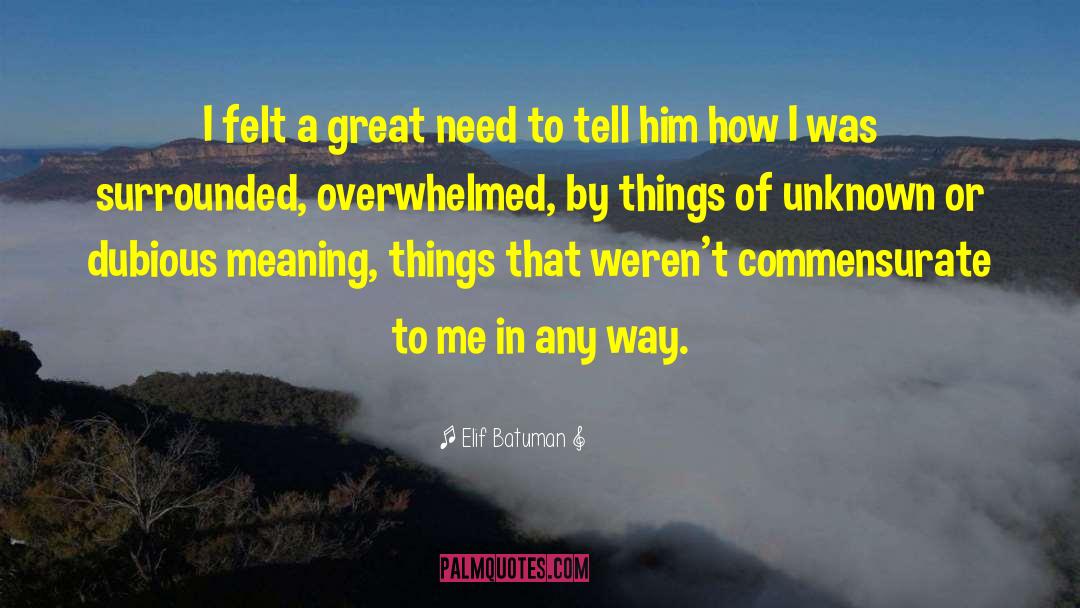 Elif Batuman Quotes: I felt a great need