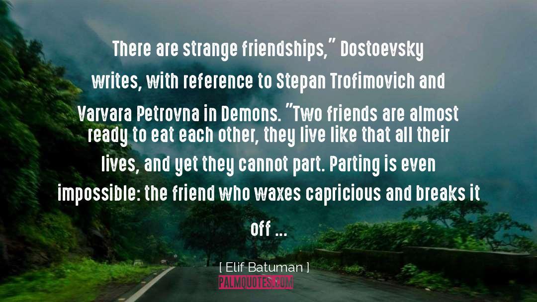 Elif Batuman Quotes: There are strange friendships,