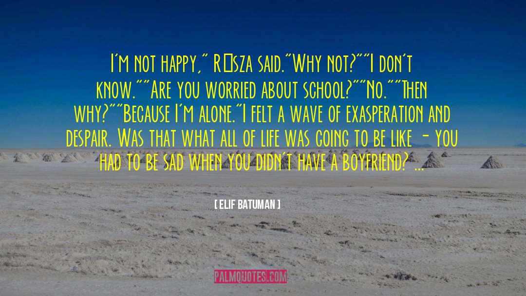 Elif Batuman Quotes: I'm not happy,