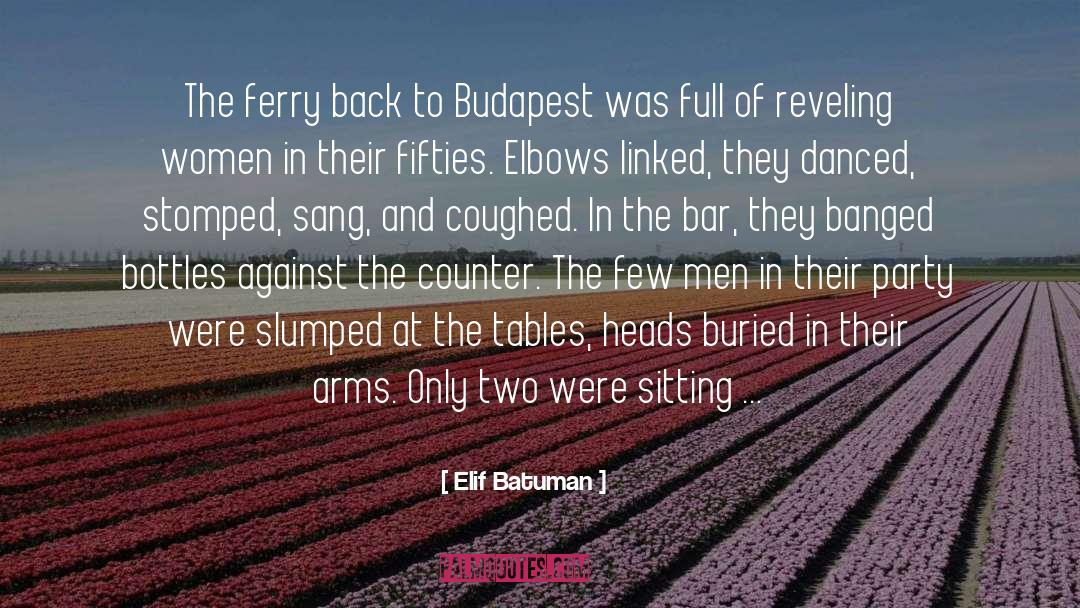 Elif Batuman Quotes: The ferry back to Budapest