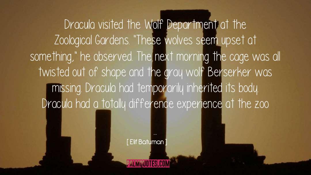 Elif Batuman Quotes: Dracula visited the Wolf Department