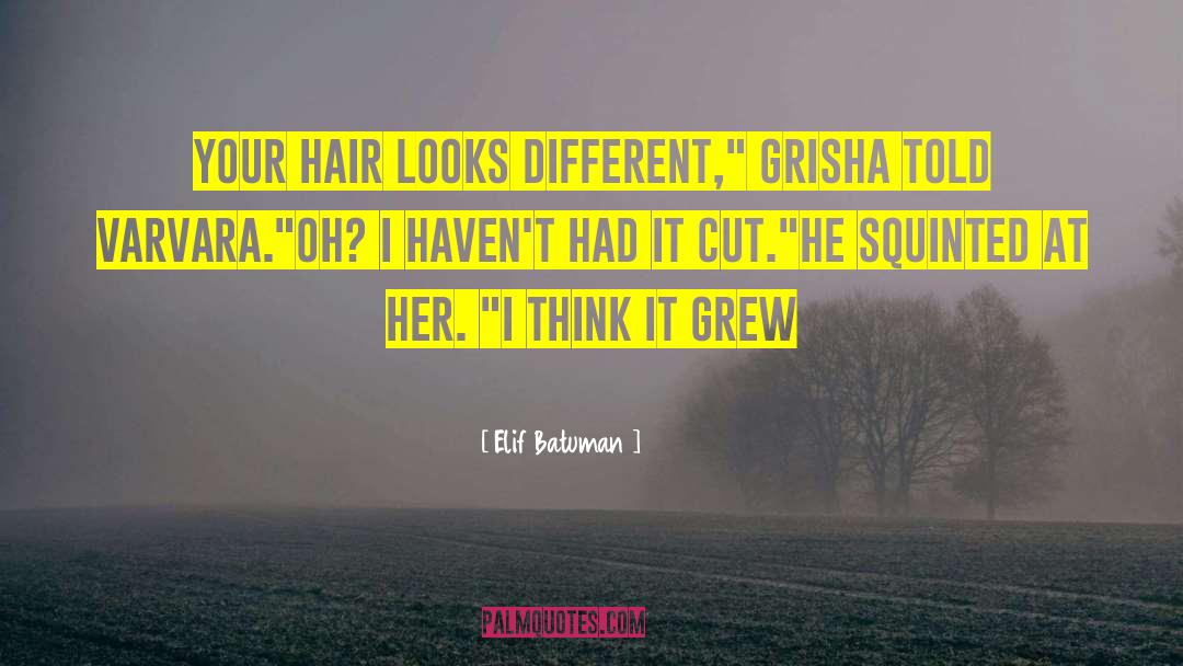 Elif Batuman Quotes: Your hair looks different,