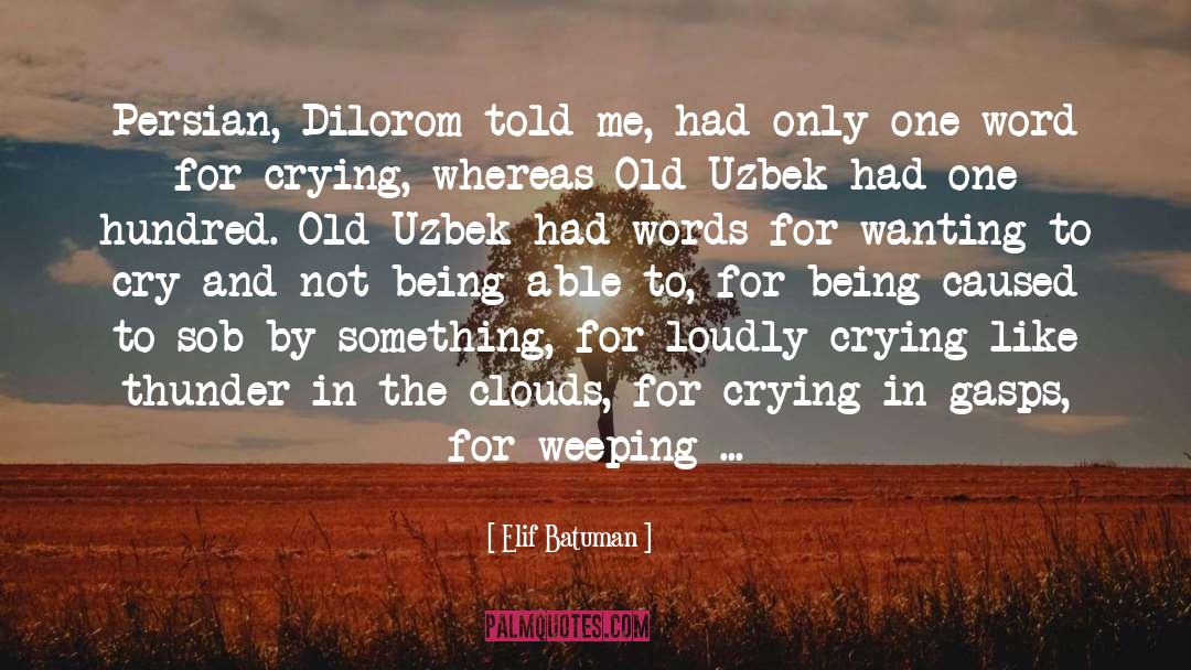 Elif Batuman Quotes: Persian, Dilorom told me, had