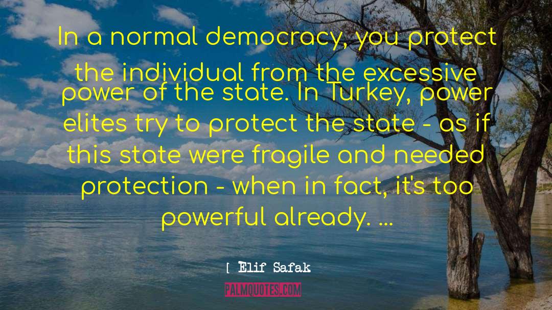 Elif Safak Quotes: In a normal democracy, you