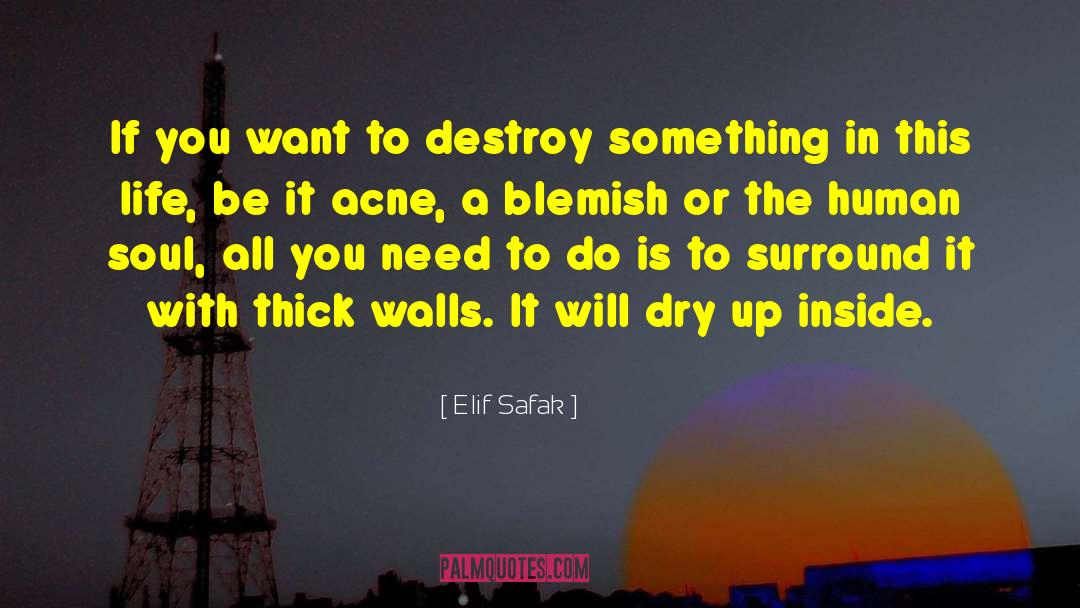 Elif Safak Quotes: If you want to destroy