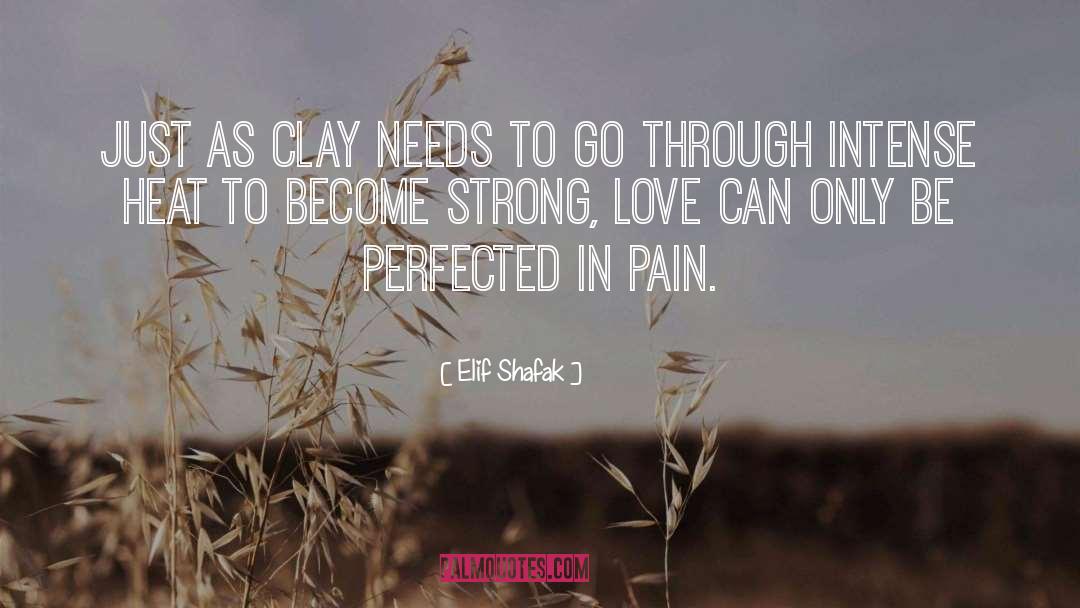 Elif Shafak Quotes: Just as clay needs to