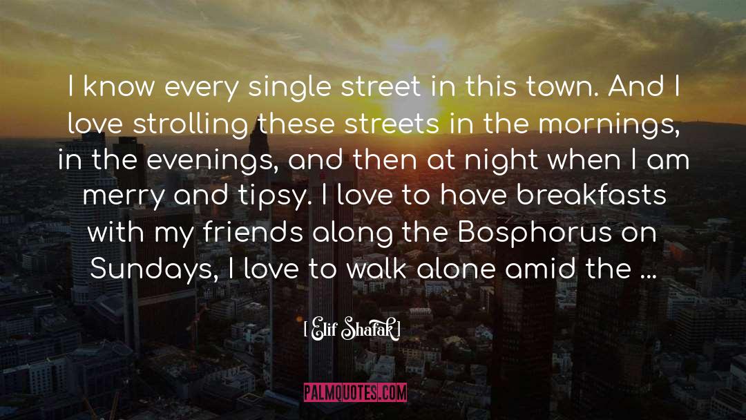 Elif Shafak Quotes: I know every single street