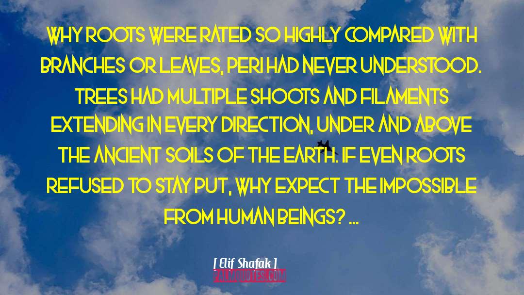 Elif Shafak Quotes: Why roots were rated so