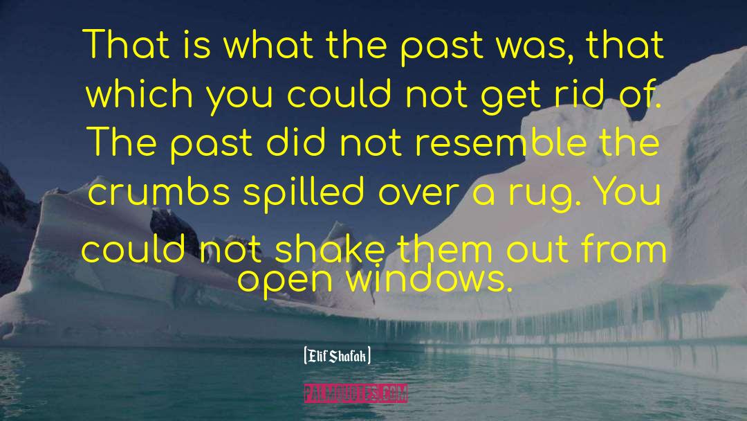 Elif Shafak Quotes: That is what the past