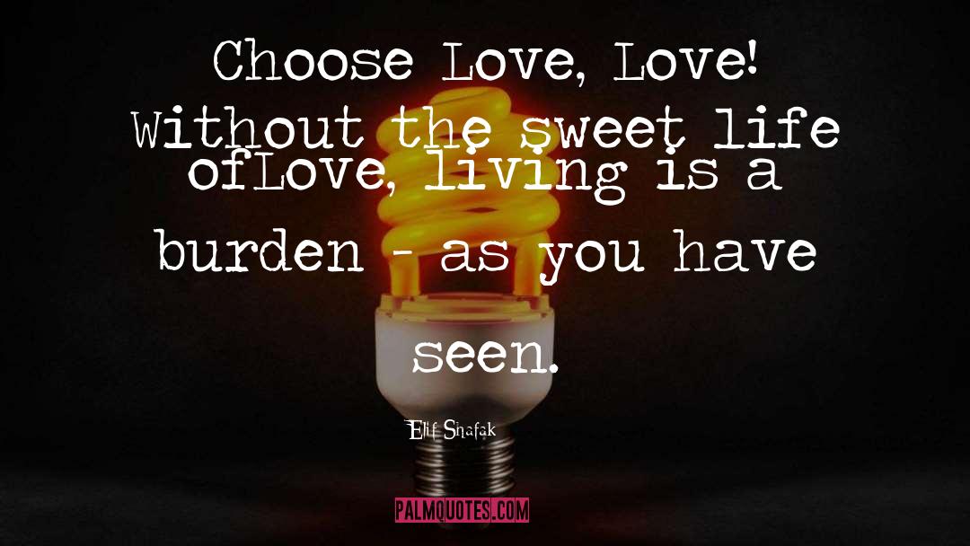 Elif Shafak Quotes: Choose Love, Love! Without the