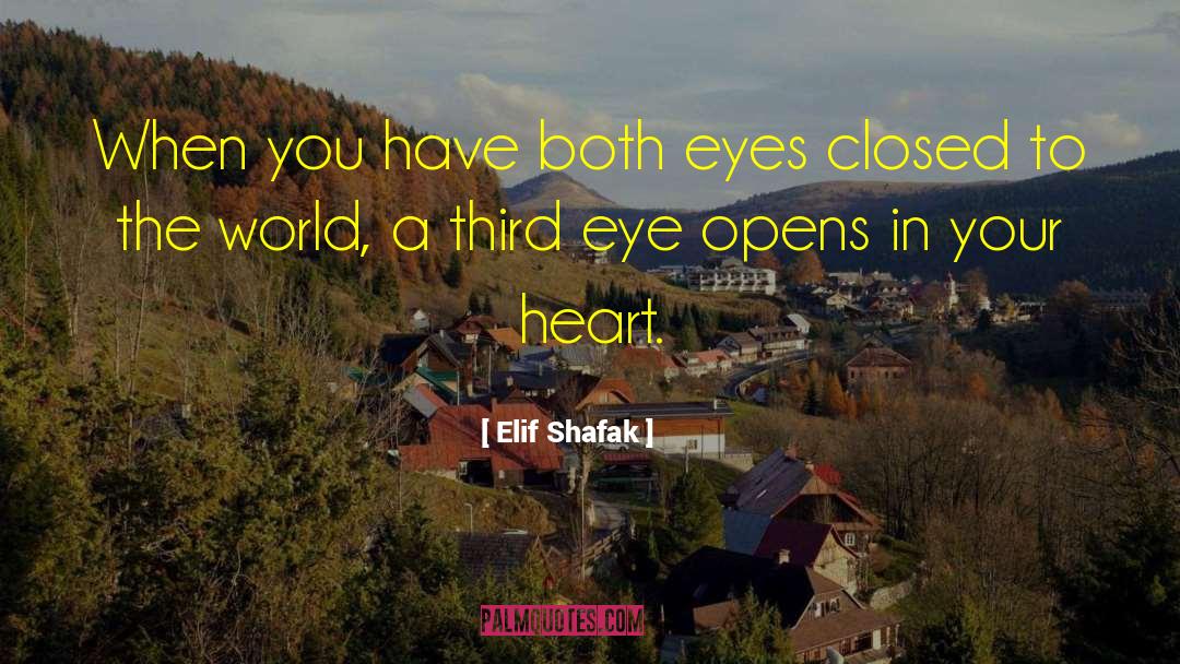 Elif Shafak Quotes: When you have both eyes