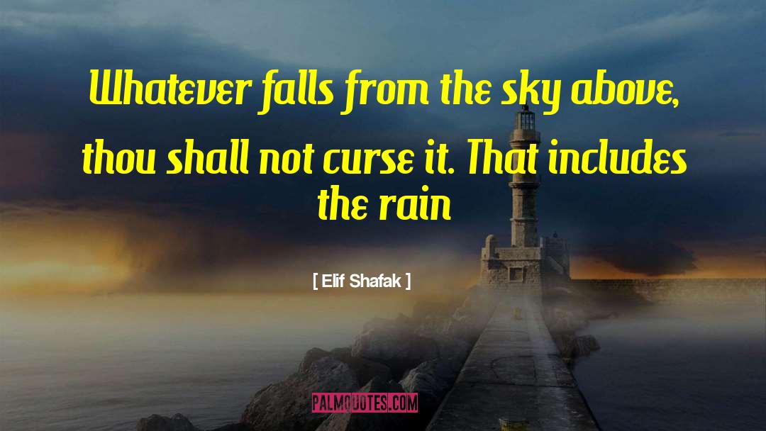 Elif Shafak Quotes: Whatever falls from the sky