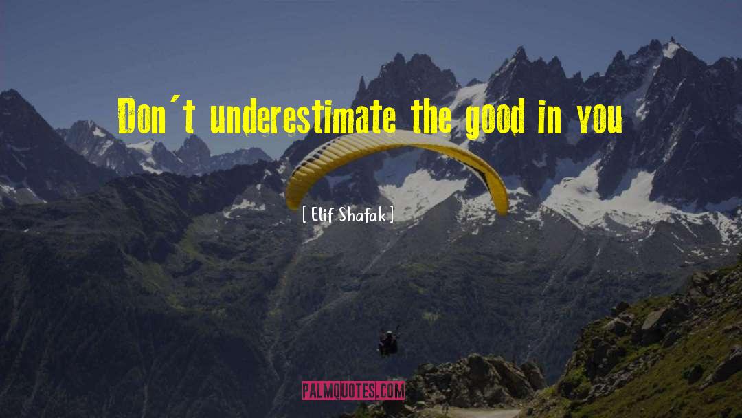 Elif Shafak Quotes: Don't underestimate the good in