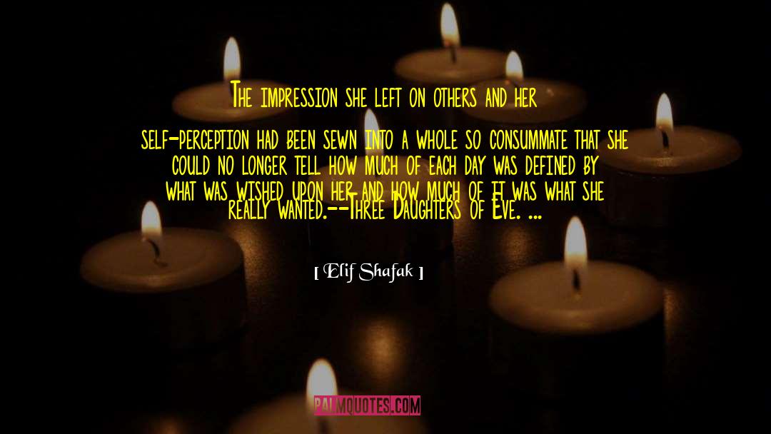Elif Shafak Quotes: The impression she left on