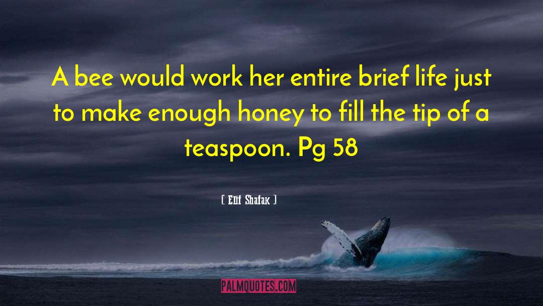 Elif Shafak Quotes: A bee would work her