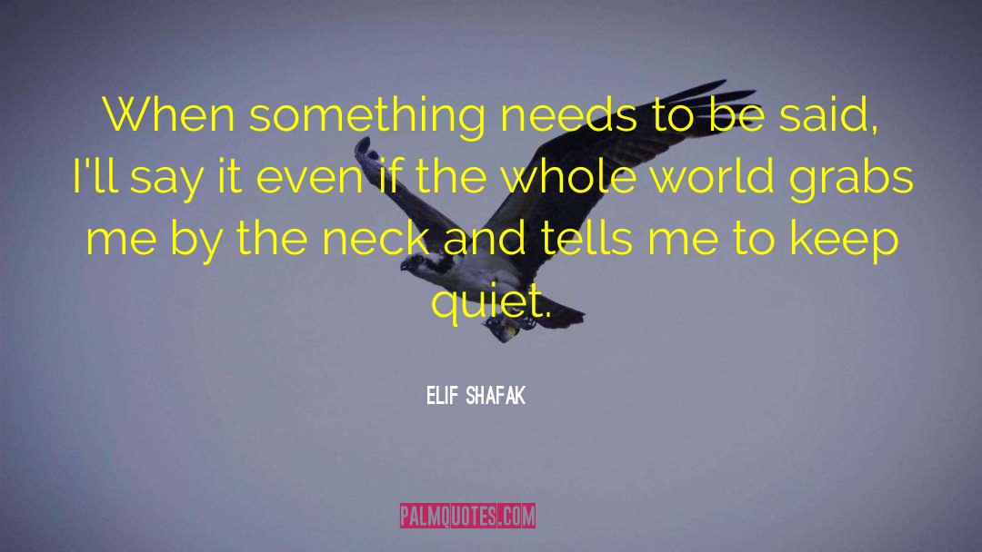 Elif Shafak Quotes: When something needs to be