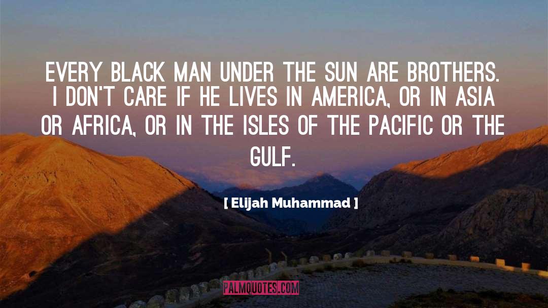 Elijah Muhammad Quotes: Every black man under the