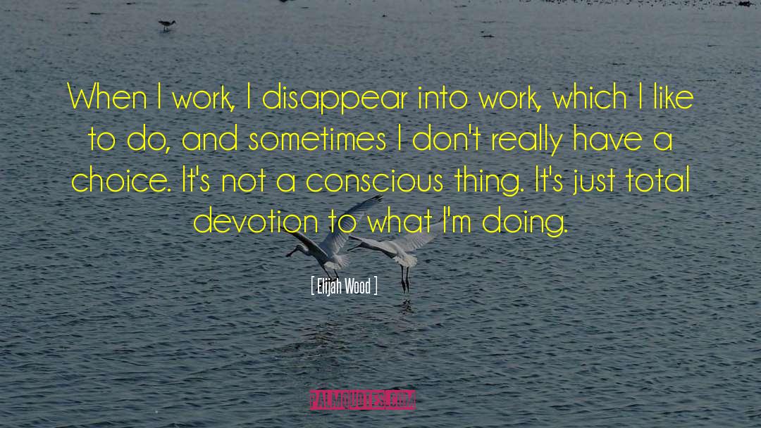 Elijah Wood Quotes: When I work, I disappear