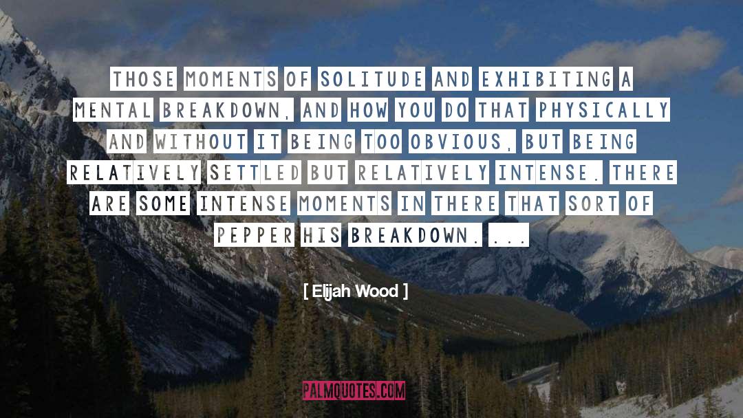 Elijah Wood Quotes: Those moments of solitude and