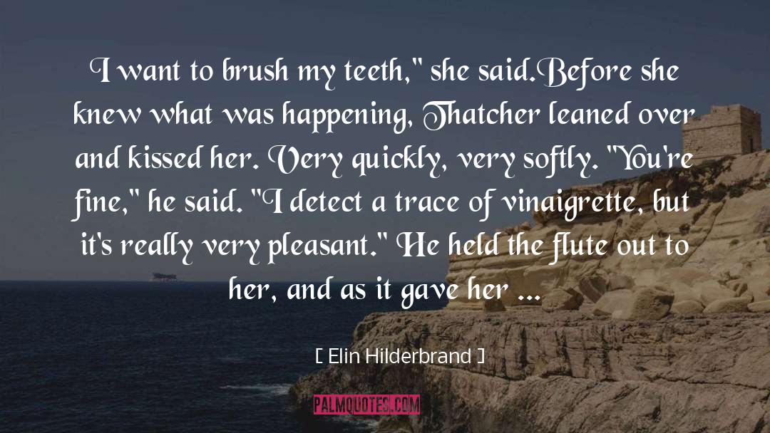 Elin Hilderbrand Quotes: I want to brush my