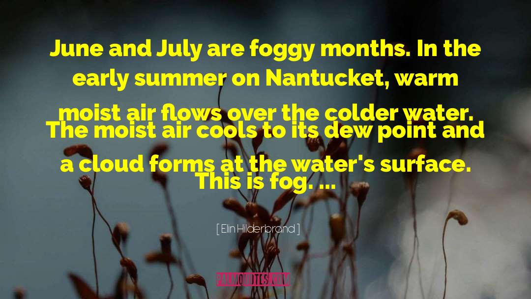 Elin Hilderbrand Quotes: June and July are foggy