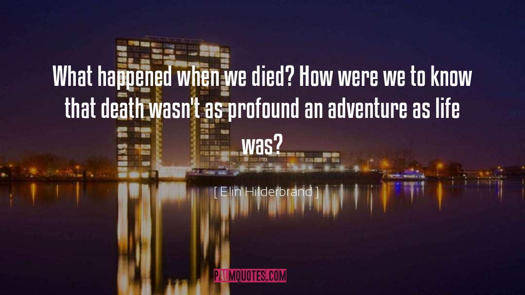 Elin Hilderbrand Quotes: What happened when we died?