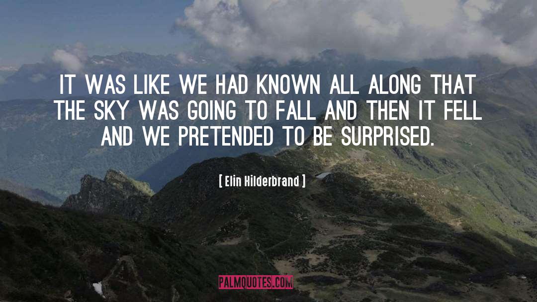 Elin Hilderbrand Quotes: It was like we had