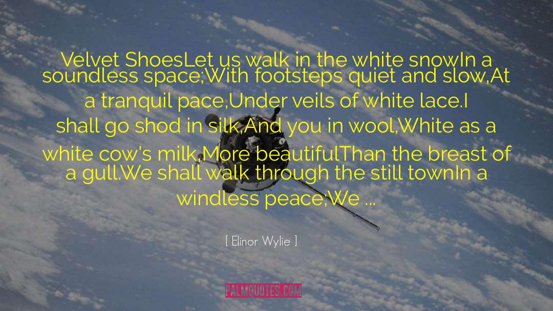 Elinor Wylie Quotes: Velvet Shoes<br /><br />Let us