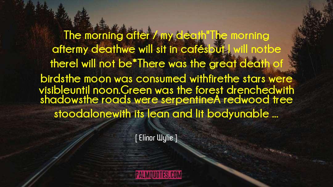 Elinor Wylie Quotes: The morning after / my