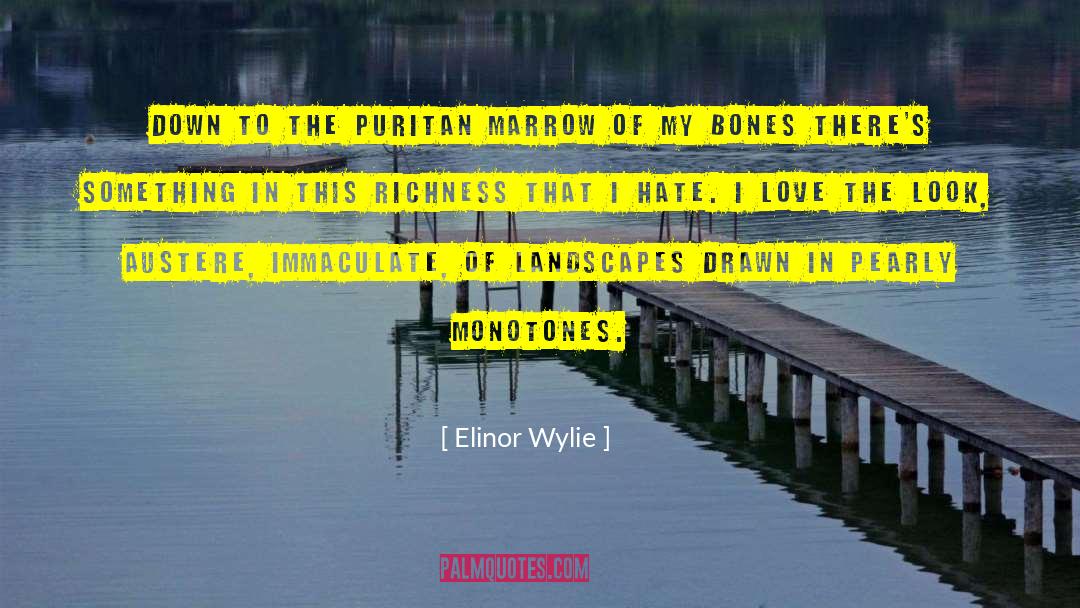 Elinor Wylie Quotes: Down to the Puritan marrow