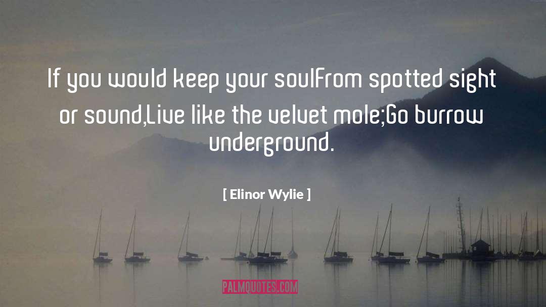 Elinor Wylie Quotes: If you would keep your