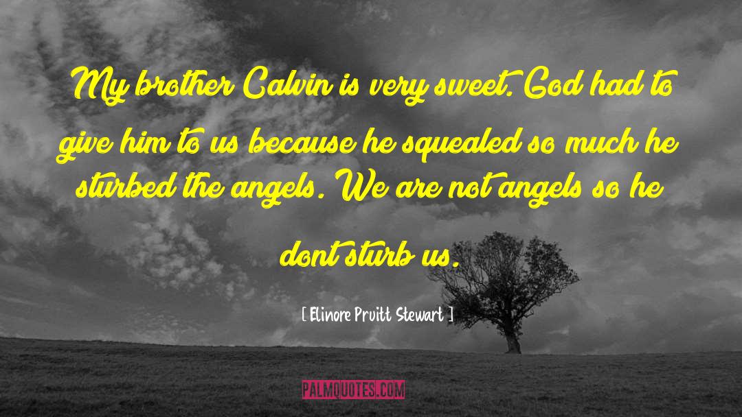 Elinore Pruitt Stewart Quotes: My brother Calvin is very