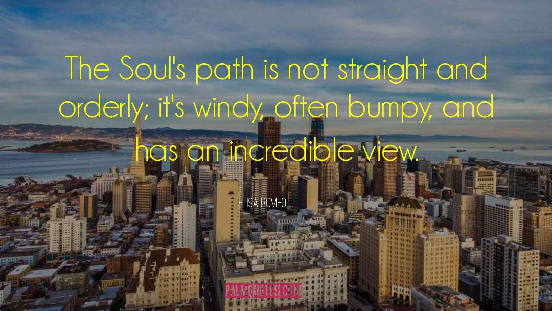 Elisa Romeo Quotes: The Soul's path is not