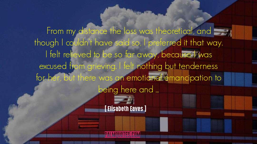 Elisabeth Eaves Quotes: From my distance the loss