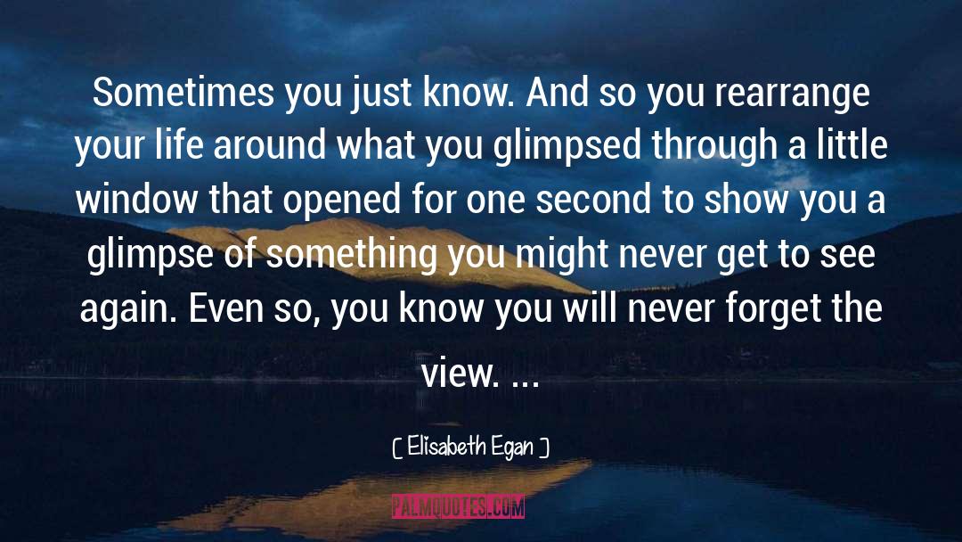 Elisabeth Egan Quotes: Sometimes you just know. And