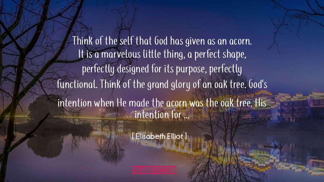 Elisabeth Elliot Quotes: Think of the self that