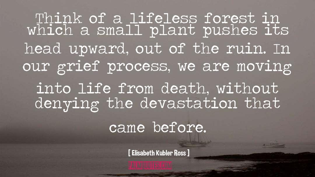 Elisabeth Kubler Ross Quotes: Think of a lifeless forest