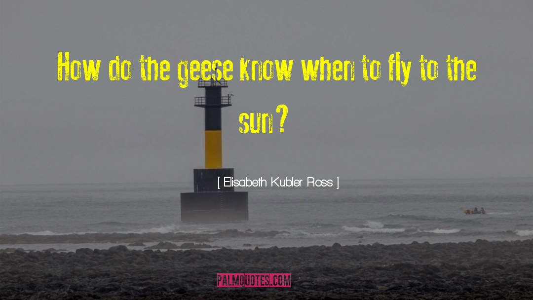 Elisabeth Kubler Ross Quotes: How do the geese know