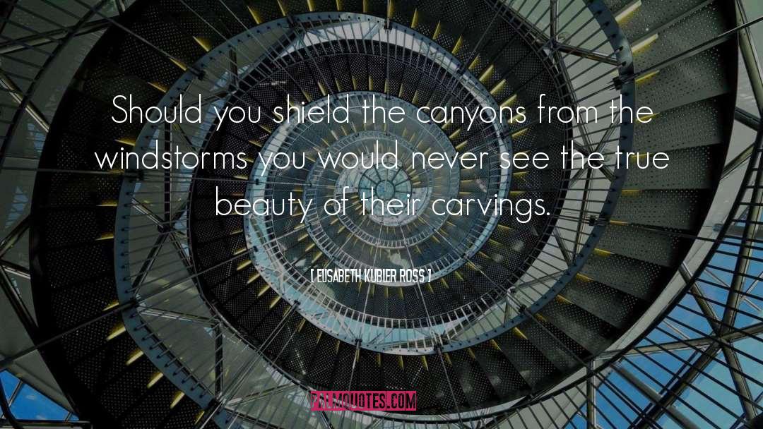 Elisabeth Kubler Ross Quotes: Should you shield the canyons