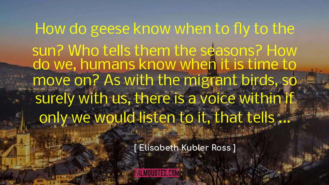 Elisabeth Kubler Ross Quotes: How do geese know when