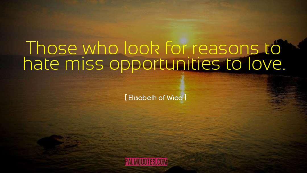 Elisabeth Of Wied Quotes: Those who look for reasons