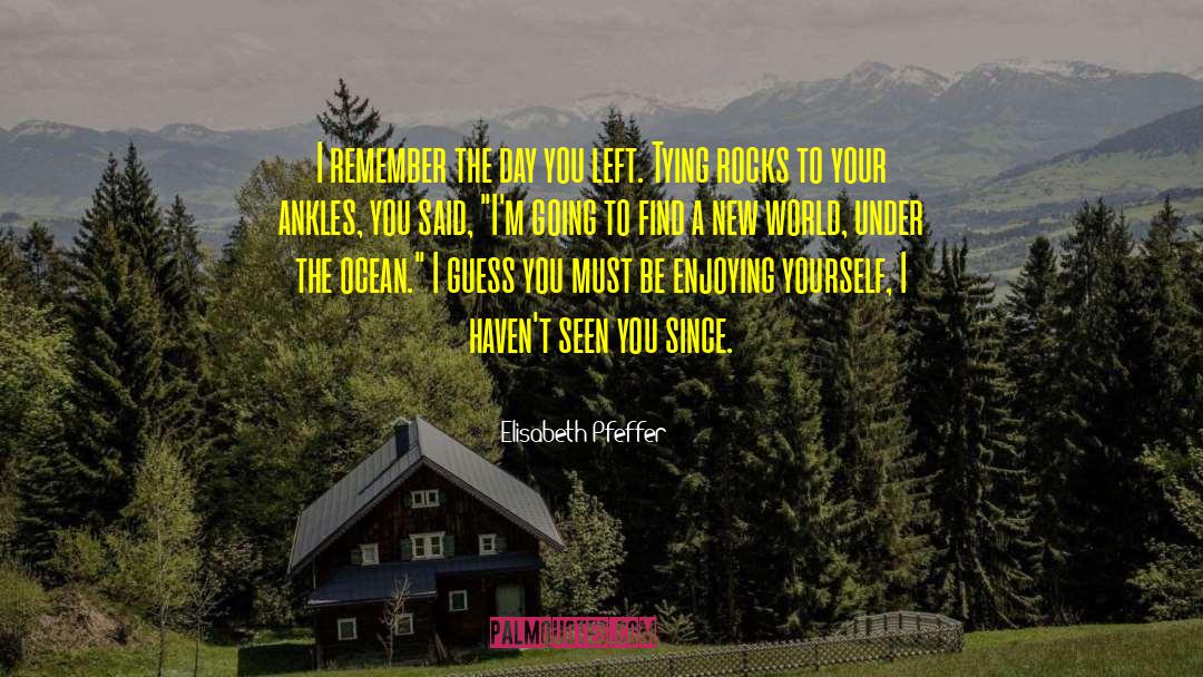 Elisabeth Pfeffer Quotes: I remember the day you