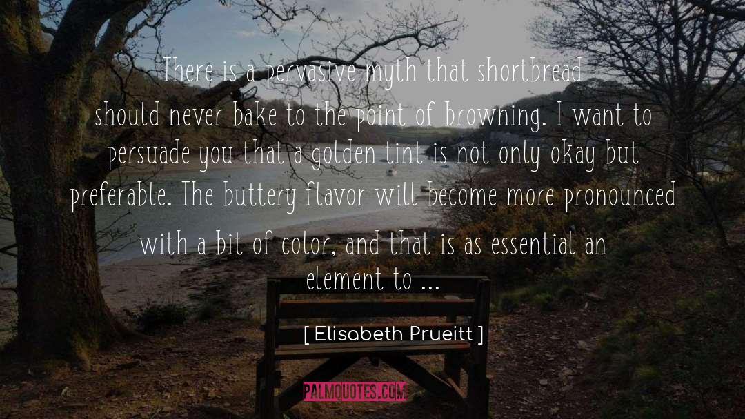 Elisabeth Prueitt Quotes: There is a pervasive myth