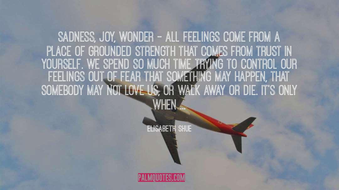 Elisabeth Shue Quotes: Sadness, joy, wonder - all