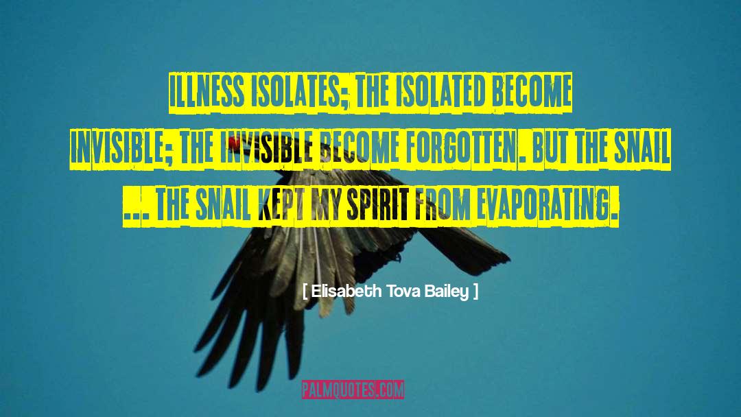Elisabeth Tova Bailey Quotes: Illness isolates; the isolated become